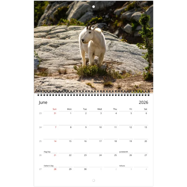 04e48118-d95c-4d30-95a4-21f192d5f1de