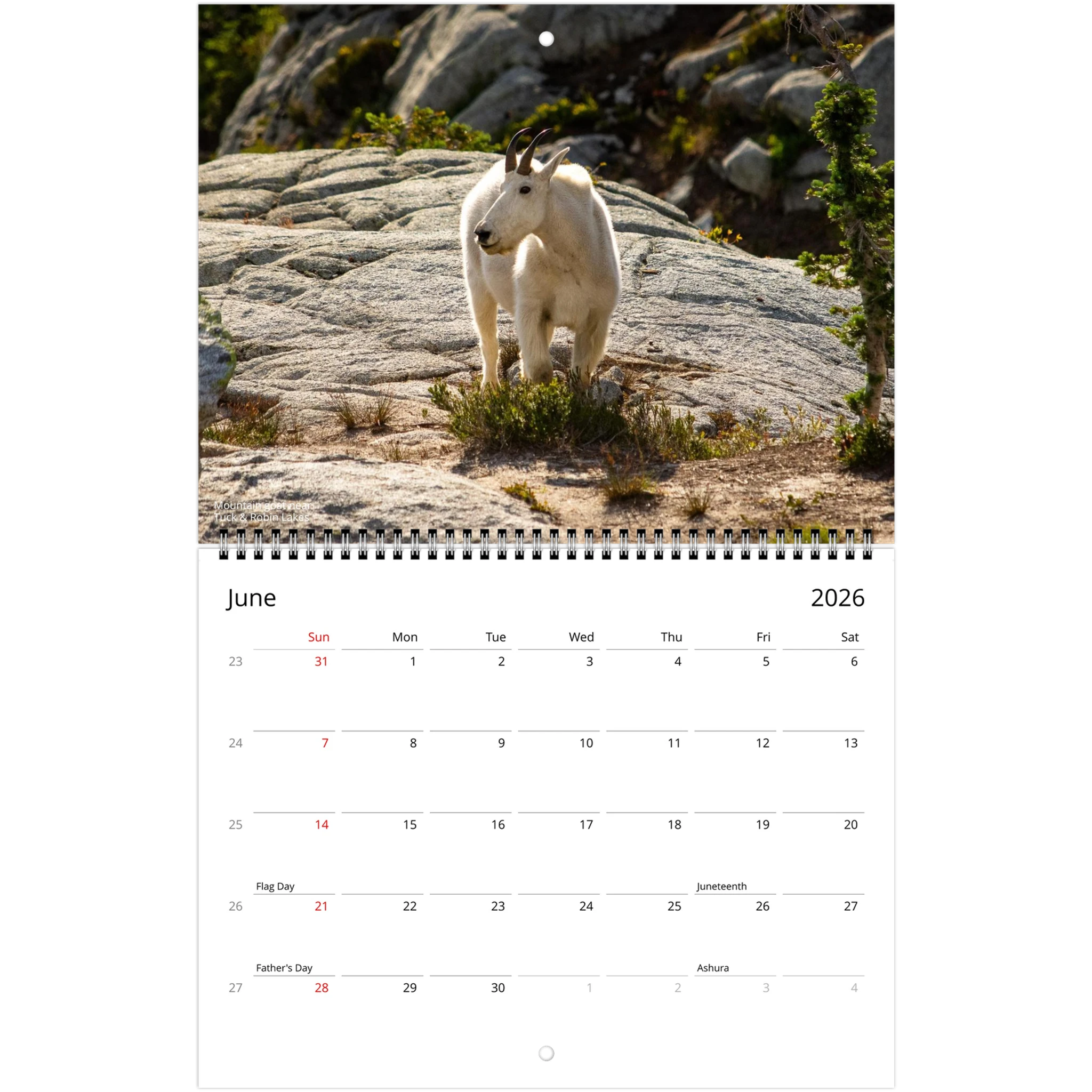 04e48118-d95c-4d30-95a4-21f192d5f1de